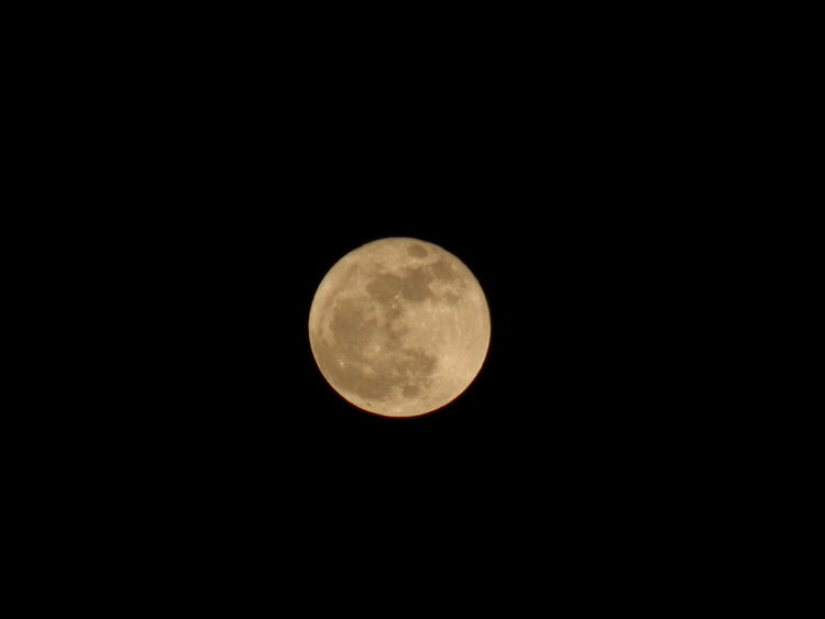 Full &quot;Pink&quot; Moon