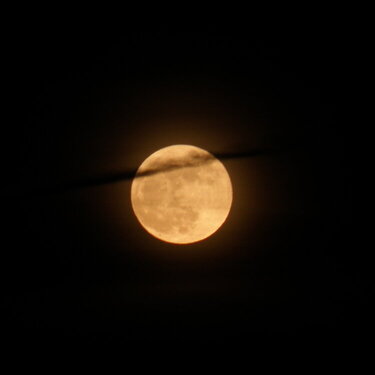 Clouds/Full &quot;Flower&quot; SuperMoon