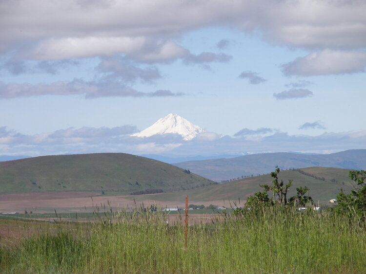 MAY 2020 ~ MINI #5 In the Distance ~ Mt Hood