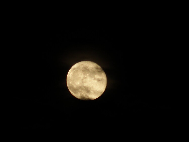 Full &quot;Flower&quot; Moon...5-28-10