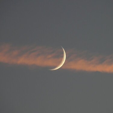 POD...JUNE #11/15...Crescent Moon