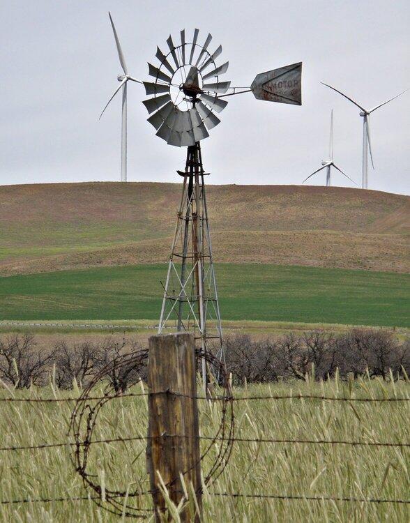 POD...JUNE #6/15...Windmill