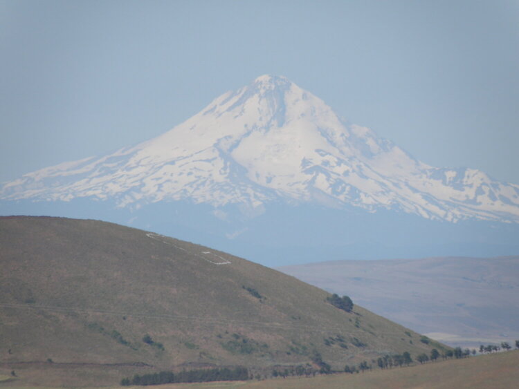 Mt Hood in Oregon