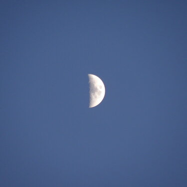 Moon...1/2