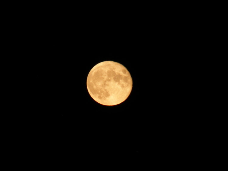 JUL 2020 #1 Full Buck Moon