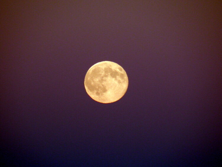 Full &quot;Sturgeon&quot; Moon...8-24-10