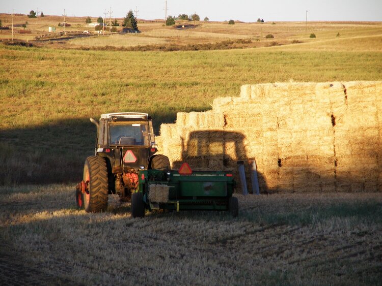 MINI SEPT...POD...8 Catch  the  light...Tractor/Shadow