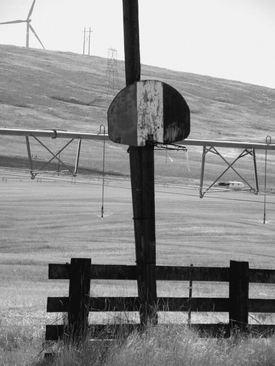 JFF...POD...Basketball hoop/Backboard...edit B/W PhotoFiltre
