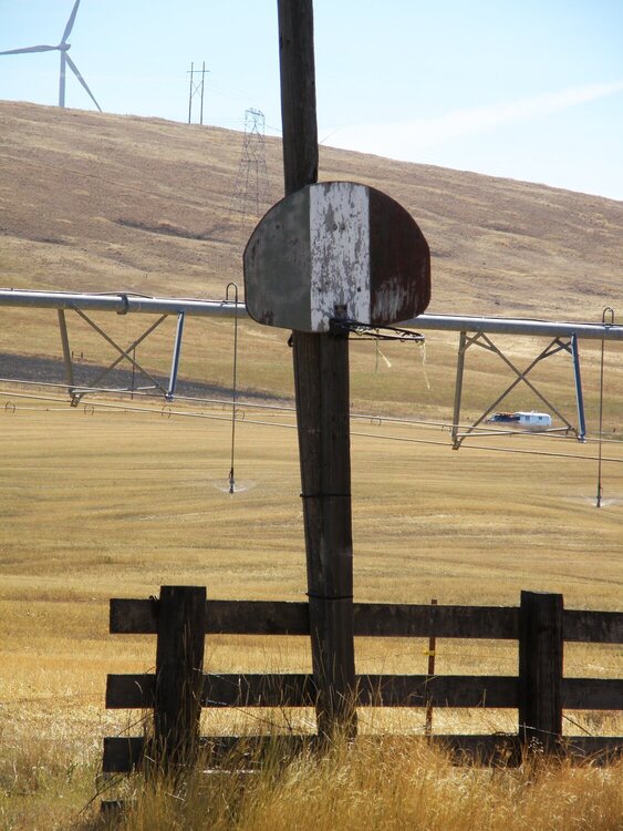 POD...SEPT #3/15...Basketball hoop/backboard