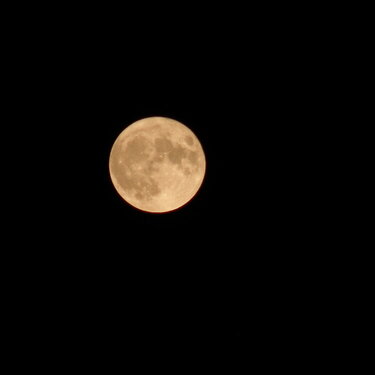 OCT 2020 #1 Full Harvest Moon