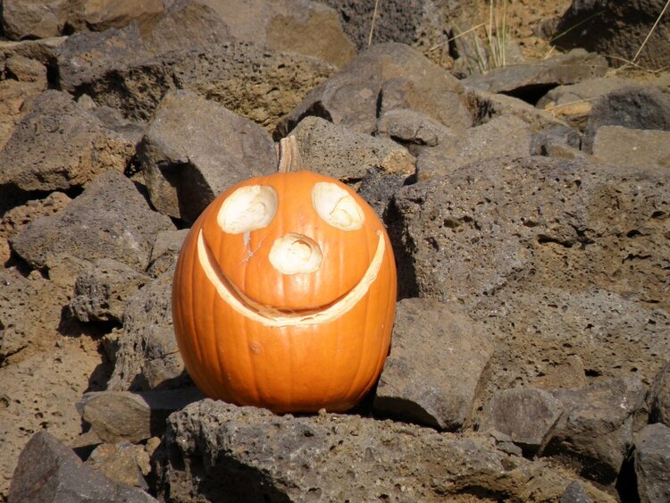 MINI OCT...POD...5 Jack-o-lantern...Jack-o-lantern/Rocks #1