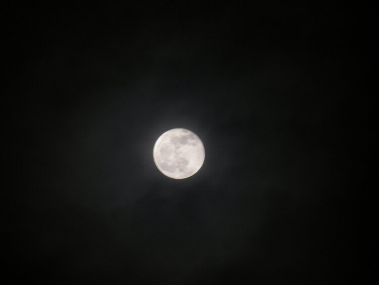 Full  &quot;Cold&quot;  Moon...12-21-10