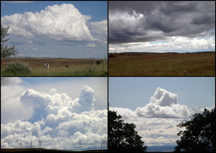 JUN 2020 #7 Clouds collage