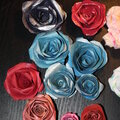 Paper Roses Group