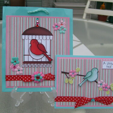 A little birdie told me... card &amp; gift bag