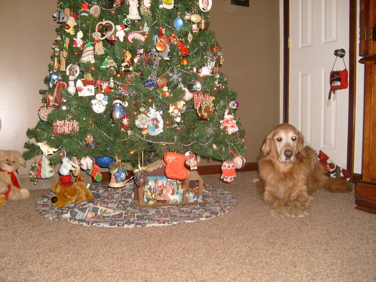 Damien my Xmas Dog : )