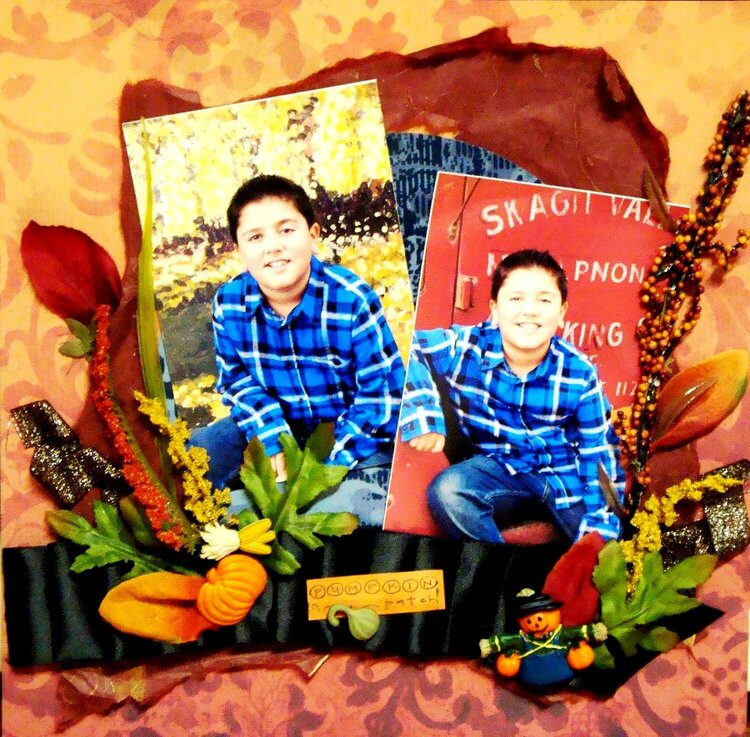 My son and the pumpkin patch