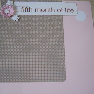 Your 5th Month of Life