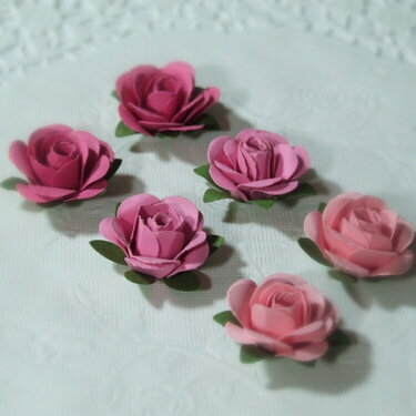 The sweetest little roses