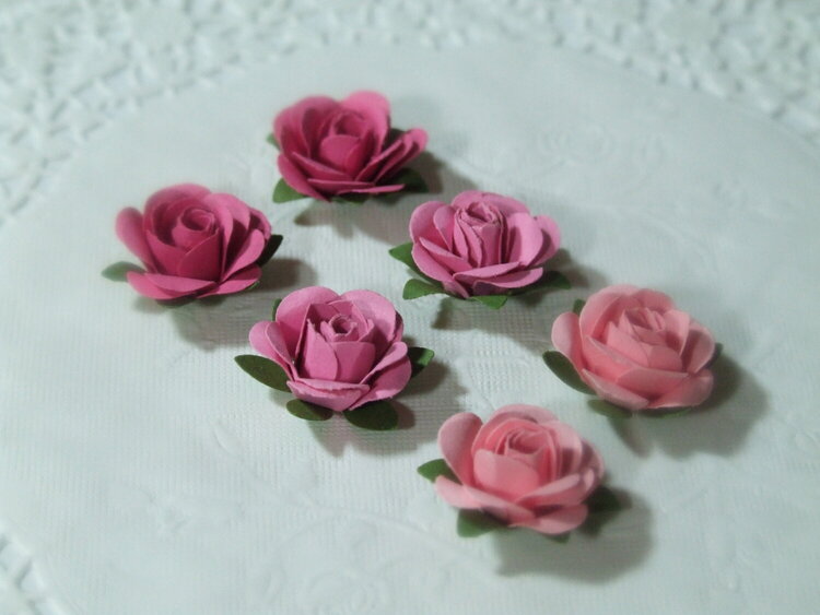 The sweetest little roses