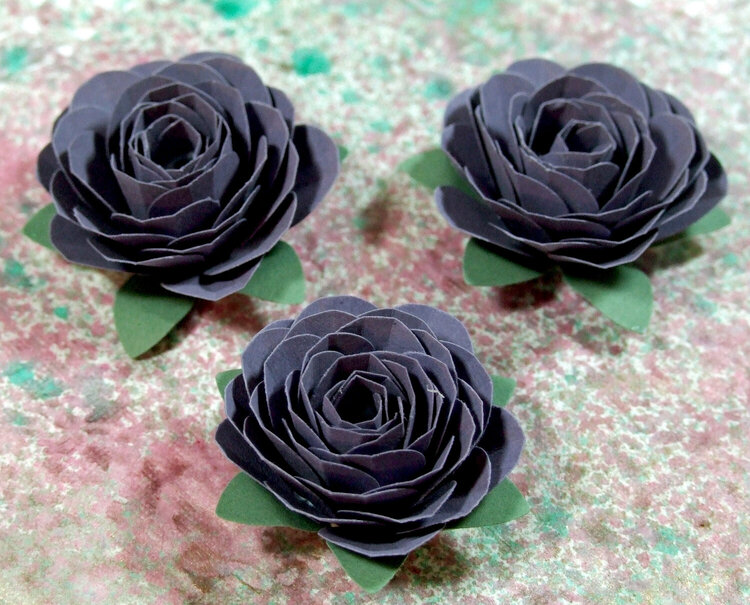 Dark Purple Roses