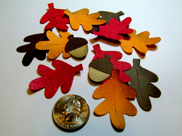 Autumn leaves &amp; acorns die cuts