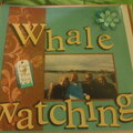 Whale watching