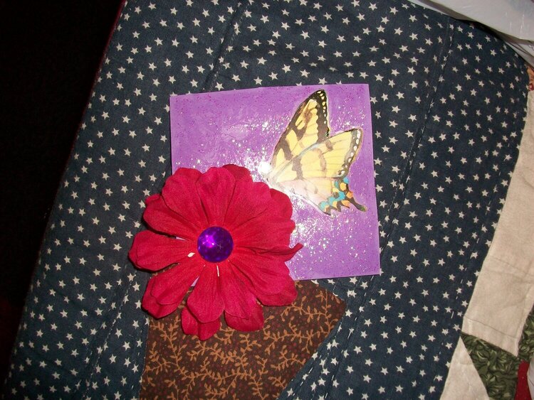 Butterfly for Jenna