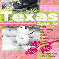 Texas Snowmen