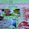 Growing Memories { BoBunny }