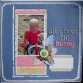 All about the bunny