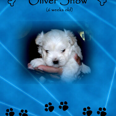 Oliver - 6 weeks