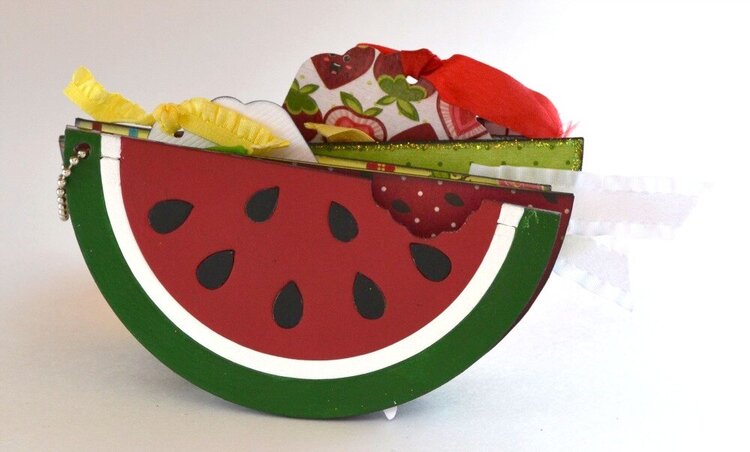 Summertime Watermelon Mini Album