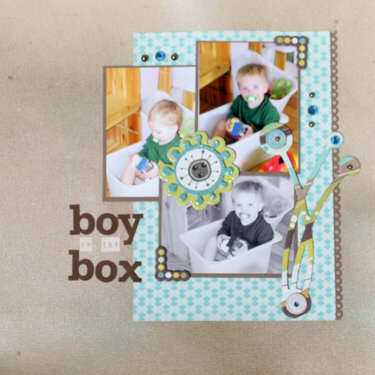 Boy in the box