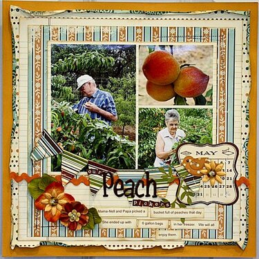Our Peach pickers