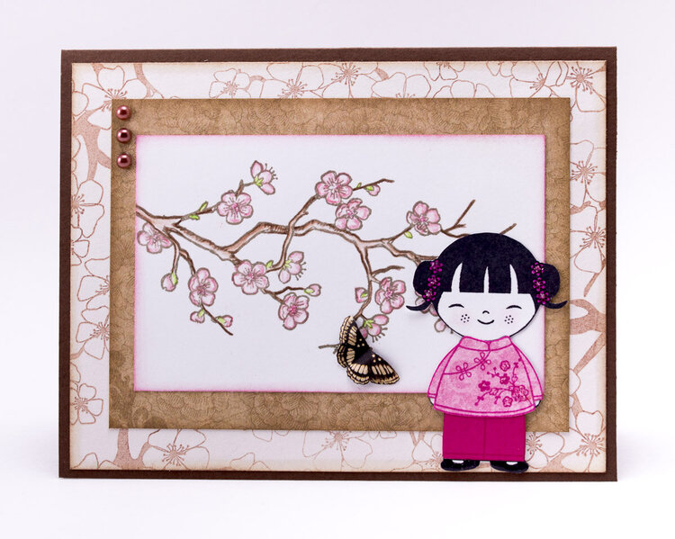 Cherry Blossoms