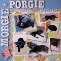 Morgie Porgie