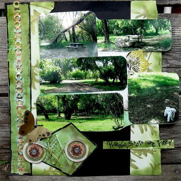 Random Shots are Fired