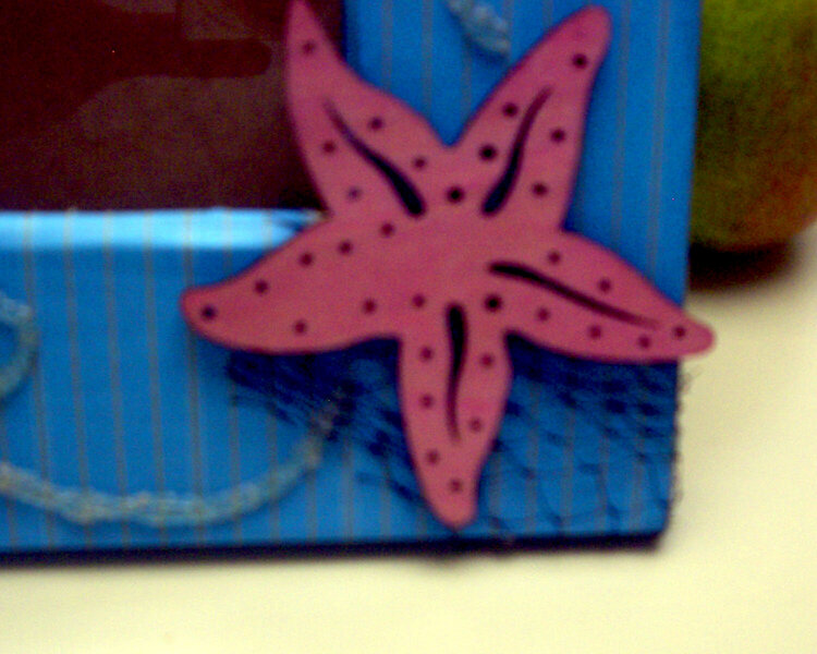 close up of starfish and net detail