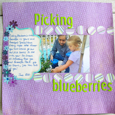 Picking blueberries with Grandpa