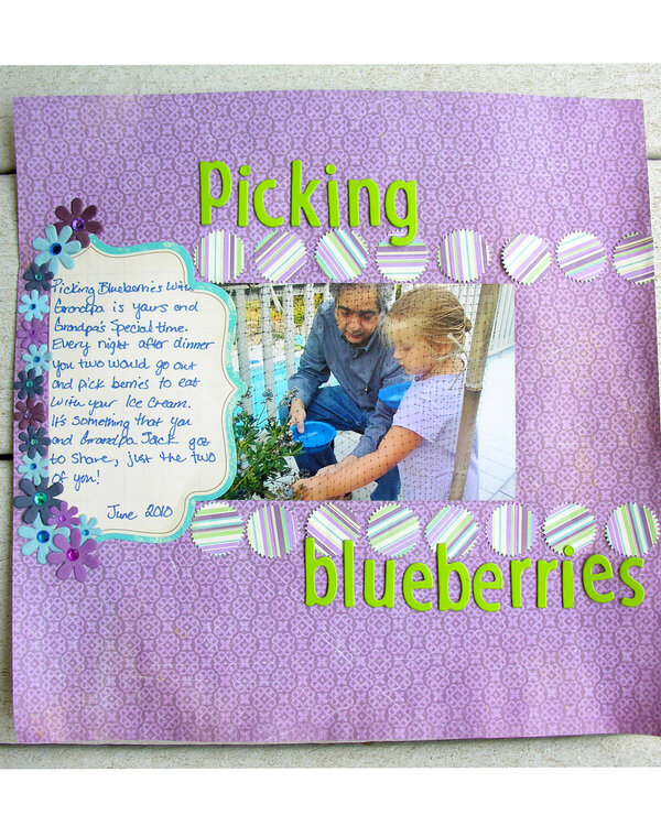 Picking blueberries with Grandpa