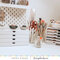 Craft Room Basics