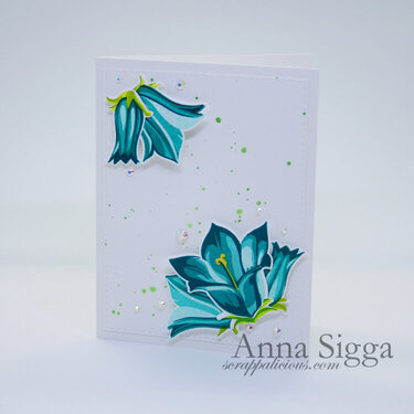Blue-Bell floral cards