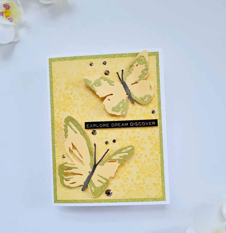 Butterfly Cards - Explore