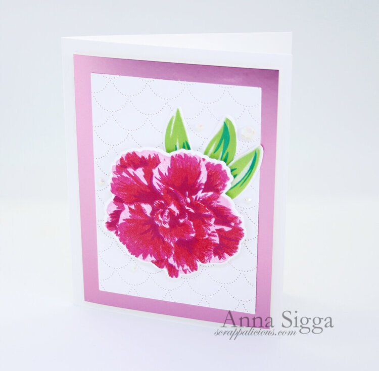 Set of simple floral cards
