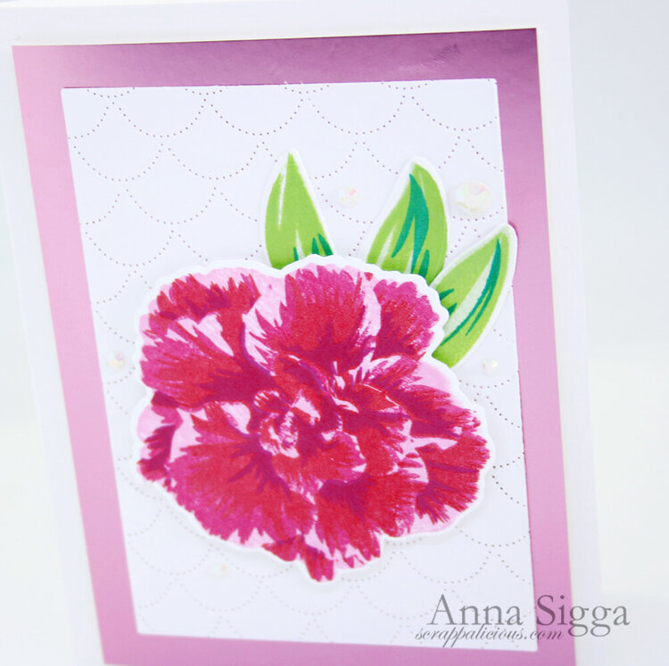 Set of simple floral cards