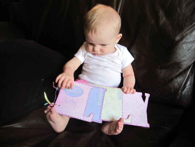 Lily &amp; her mini-book