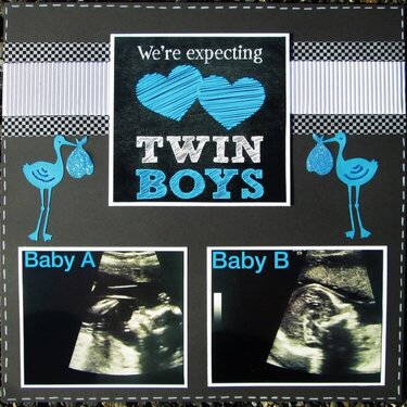 Expecting Twins