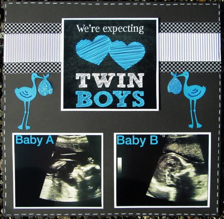 Expecting Twins