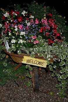 Welcome to Susan and Doug&#039;s Garden